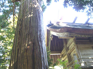 パワースポットに癒される須佐神社物語C